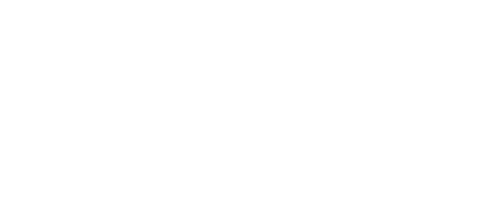 Vinconsult